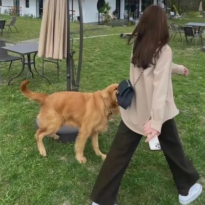 别犹豫
